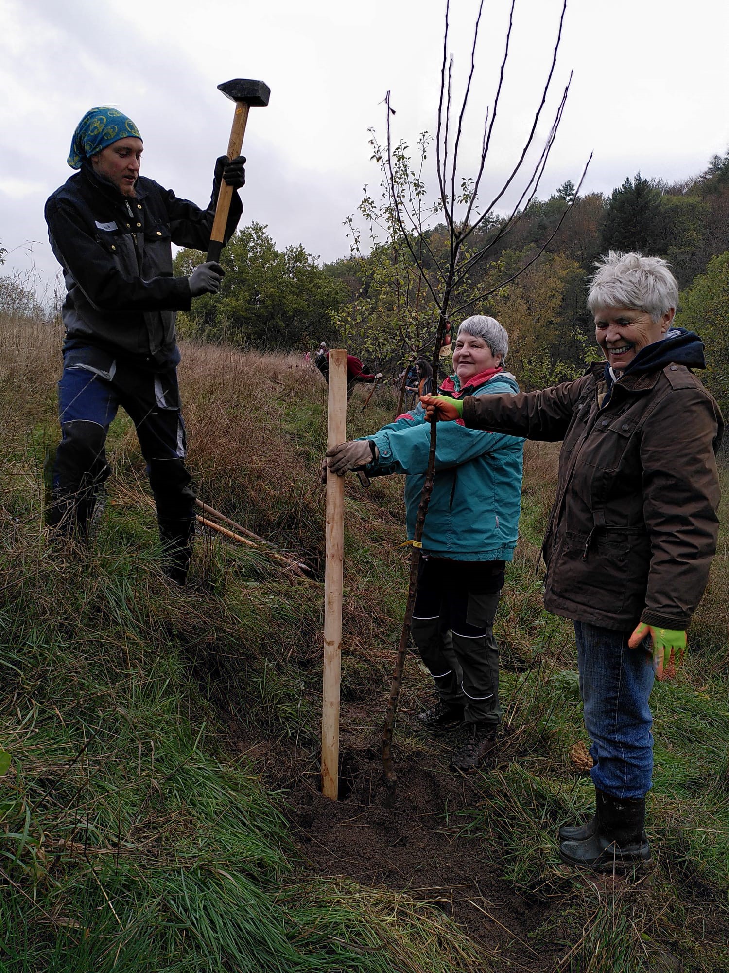 Baumpflanzaktion2